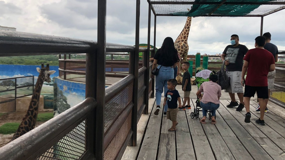 El 49.3% de de la fauna que habita en el zoológico de NL es depositada por PROFEPA 