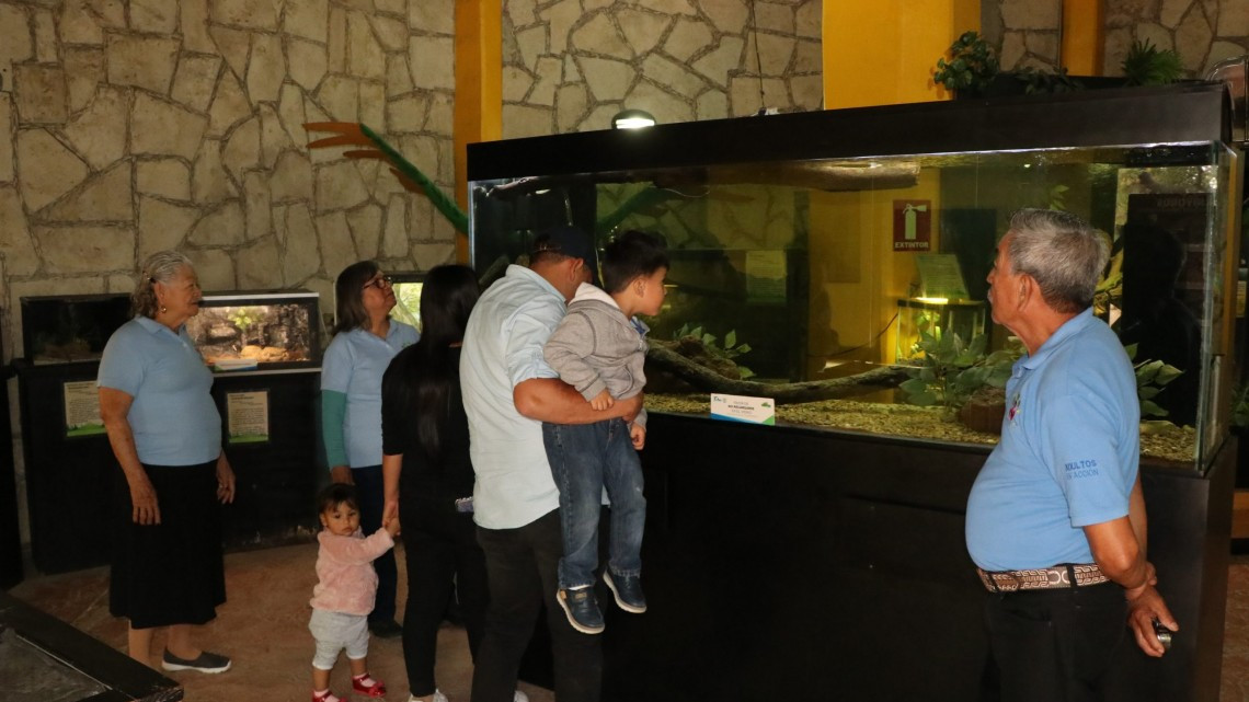 Por Covid-19 adelanta DIF Tamaulipas pago de “Adultos en Acción” en el estado