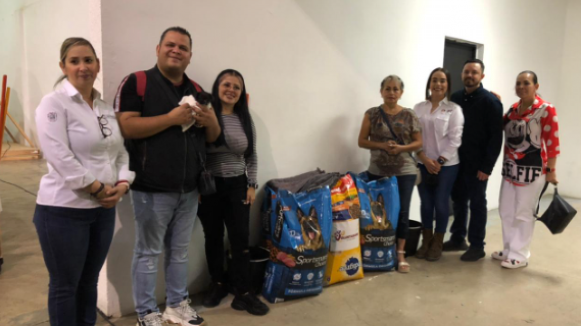 Superan meta en Primera Brigada de Esterilización para perros y gatos 