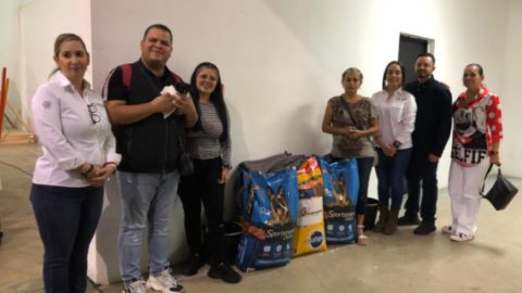 Superan meta en Primera Brigada de Esterilización para perros y gatos 