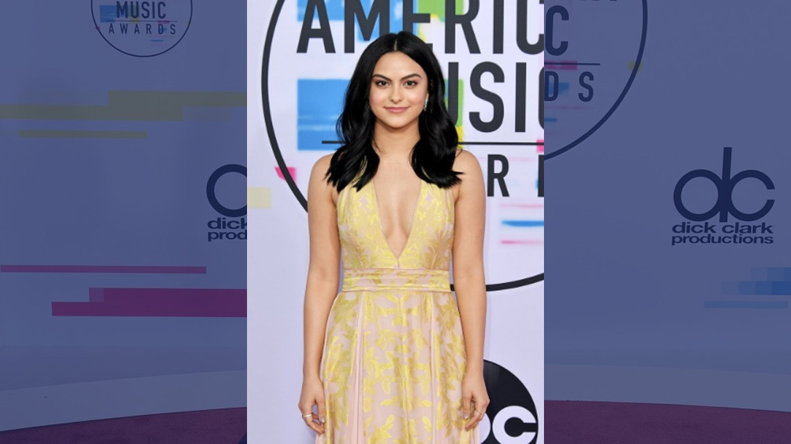 Así lucen los famosos en los American Music Awards