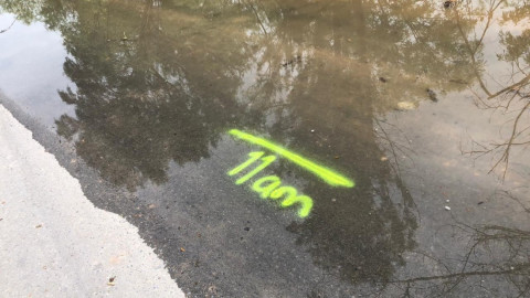 Regresa Río Bravo paulatinamente a su cauce