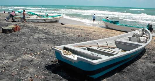Inicia veda de tiburón y cazón en el Golfo de México 