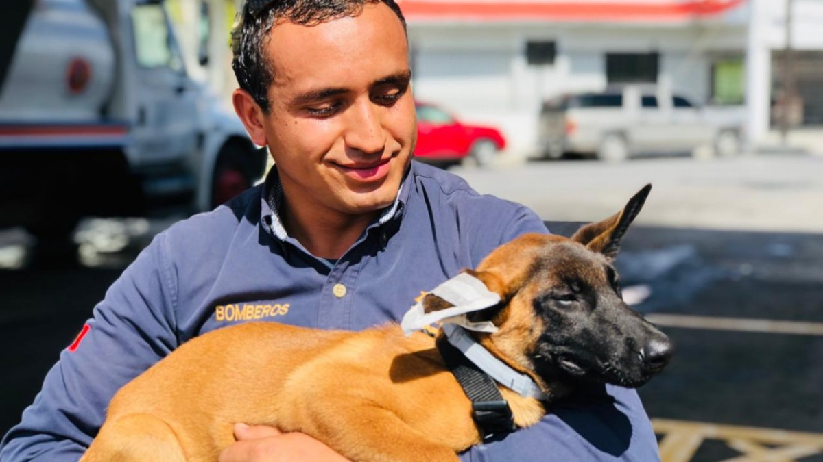 Se integran dos binomios caninos al cuerpo de bomberos 
