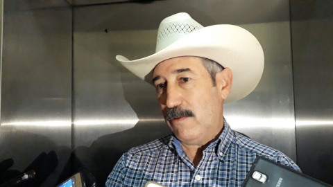 Ganaderos afectados por altas temperaturas