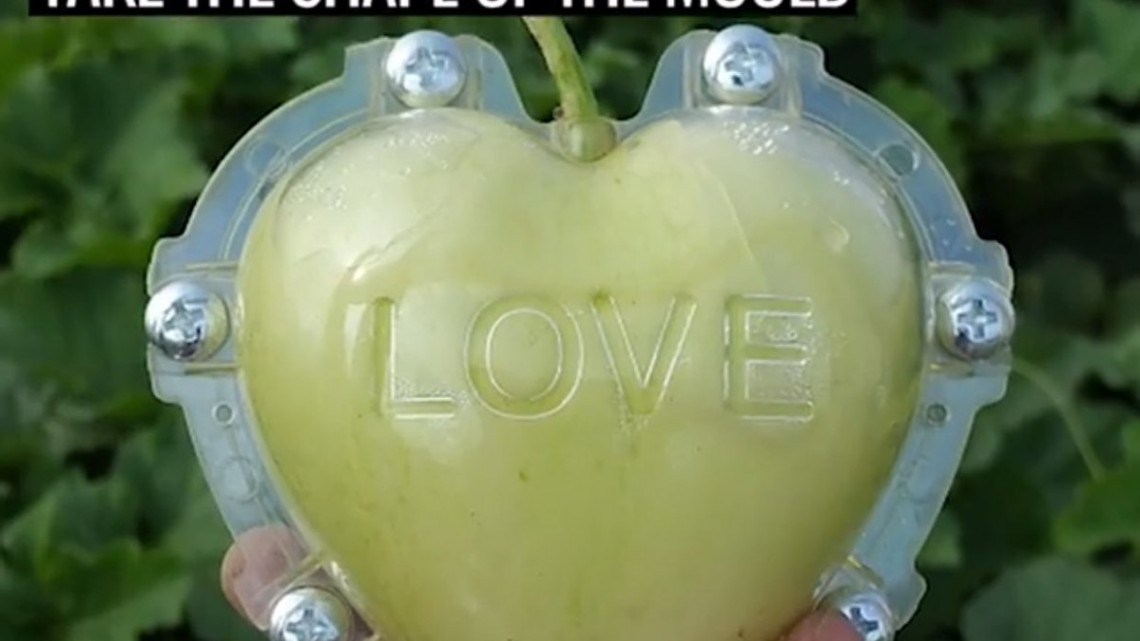 Las frutas con forma alcanzaron un nuevo nivel 