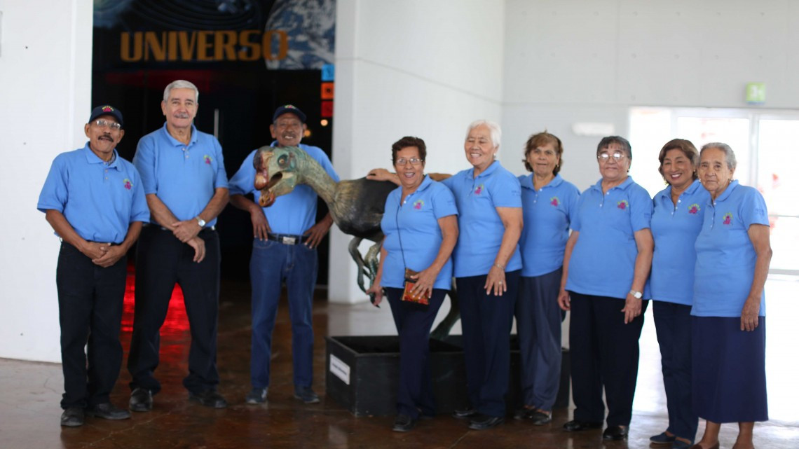 Por Covid-19 adelanta DIF Tamaulipas pago de “Adultos en Acción” en el estado