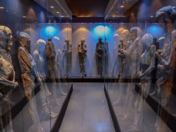 Acusa INAH cambios no autorizados en Museo de Momias de Guanajuato