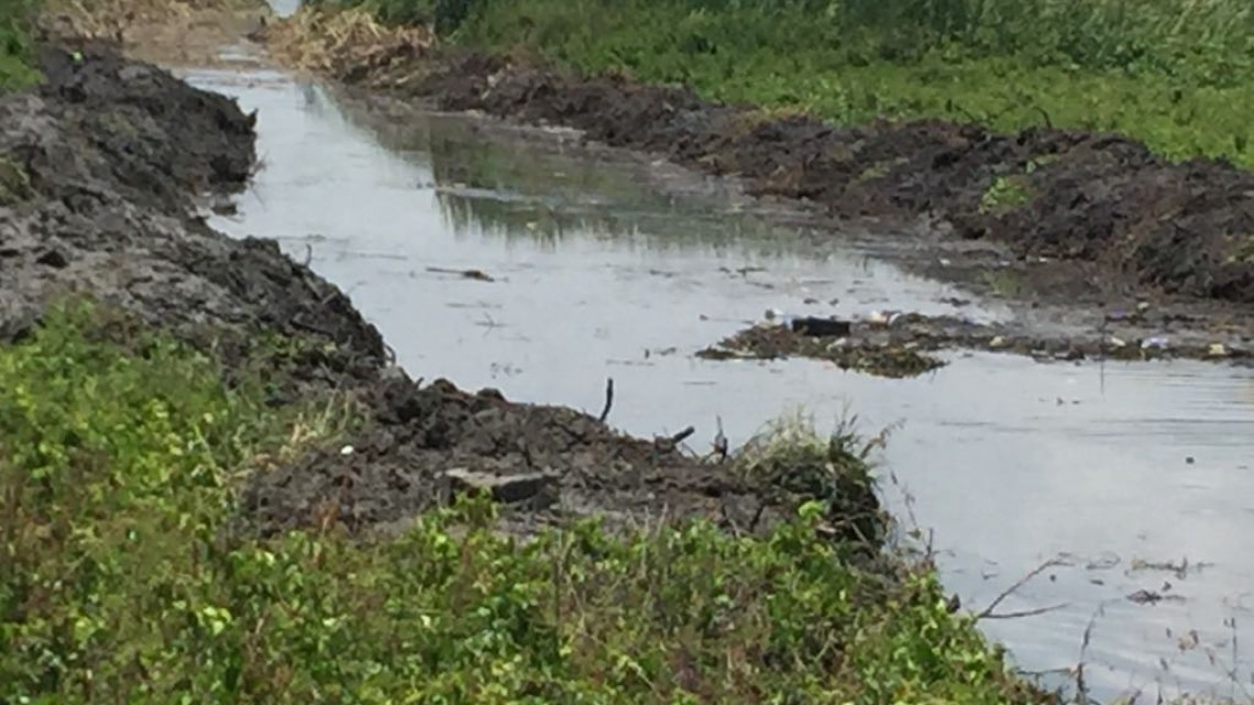 Construyen canales dentro del sistema lagunario