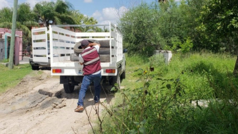 Eliminan criaderos del mosco transmisor del dengue en 46 colonias de Matamoros