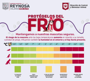 Cuidar del frío a mascotas recomienda Carlos Peña Ortiz, Alcalde de Reynosa