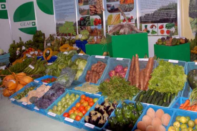 Todo listo para primera Edición de la Feria Agroalimentaria 2017