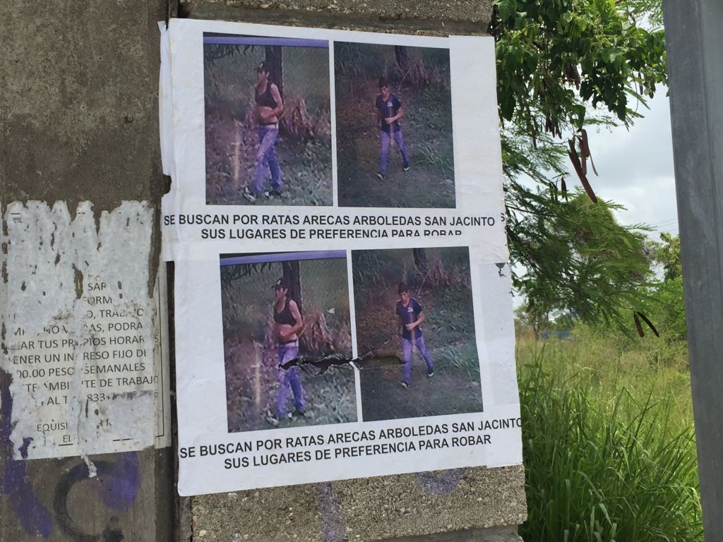 Afectados de robos exhiben a los presuntos delincuentes