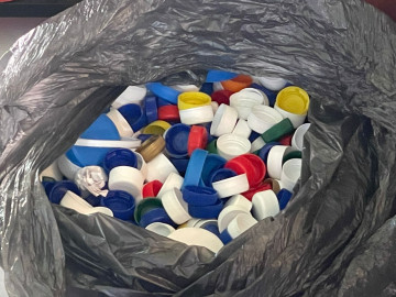 Invitan a donar tapas para apoyar a gatos y perros rescatados