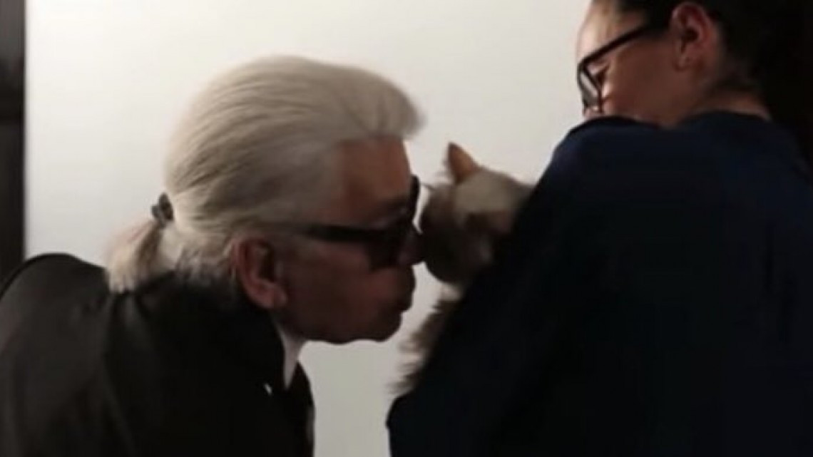 Choupette, la gata que heredará la fortuna de Karl Lagerfeld 