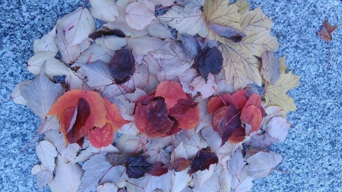 Obras de arte con hojas caídas en Japón