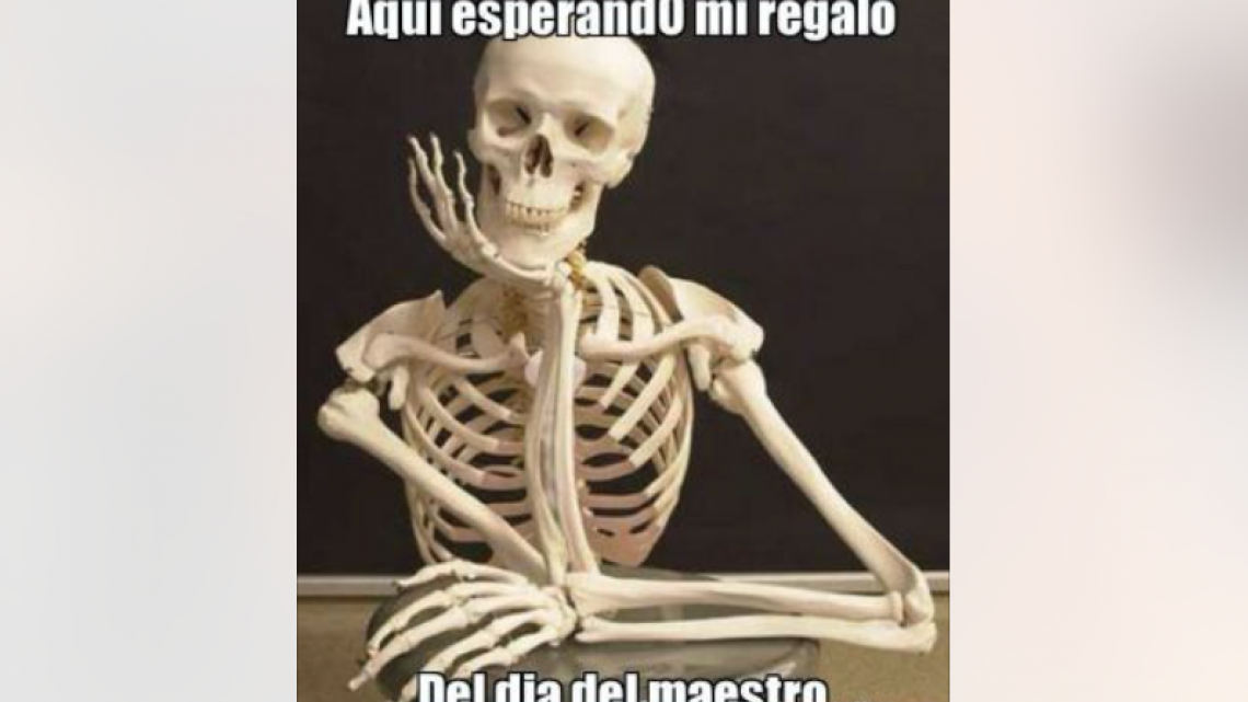 Los increíbles memes del día del Maestro