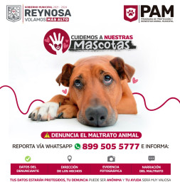 Dispone Gobierno de Reynosa línea telefónica para denunciar maltrato animal 