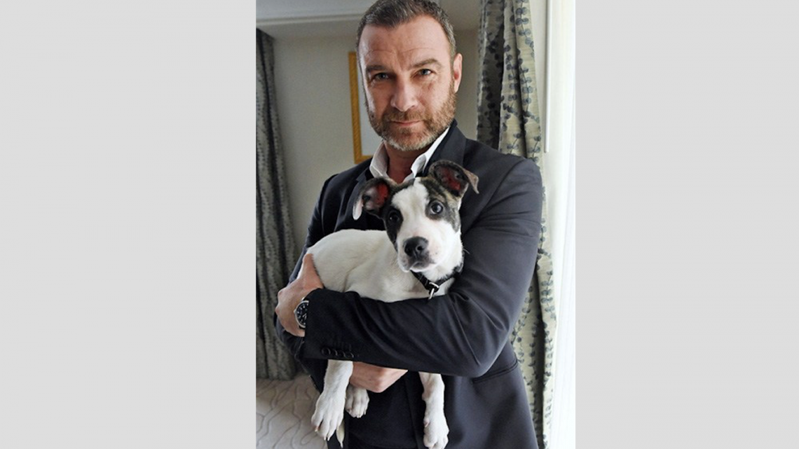 Protagonistas de Isle of dogs posan con cachorritos