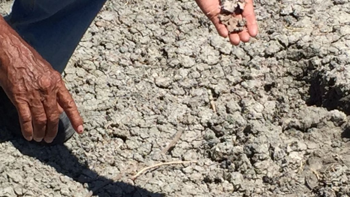 Pescadores denuncian contaminación en Laguna y manglares