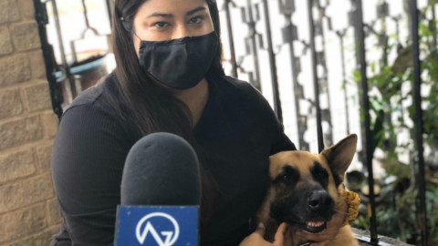 Intercambian llaveros y cupcakes por alimento para mascotas damnificadas