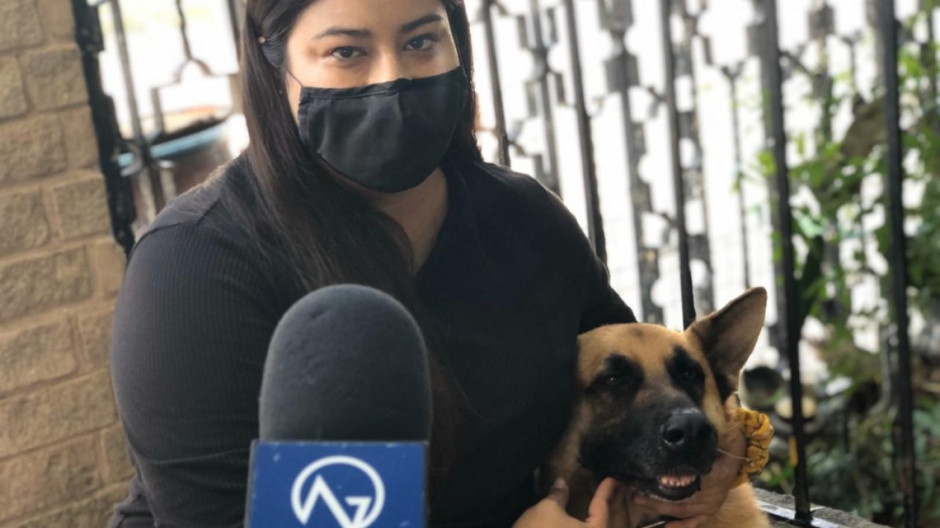 Intercambian llaveros y cupcakes por alimento para mascotas damnificadas