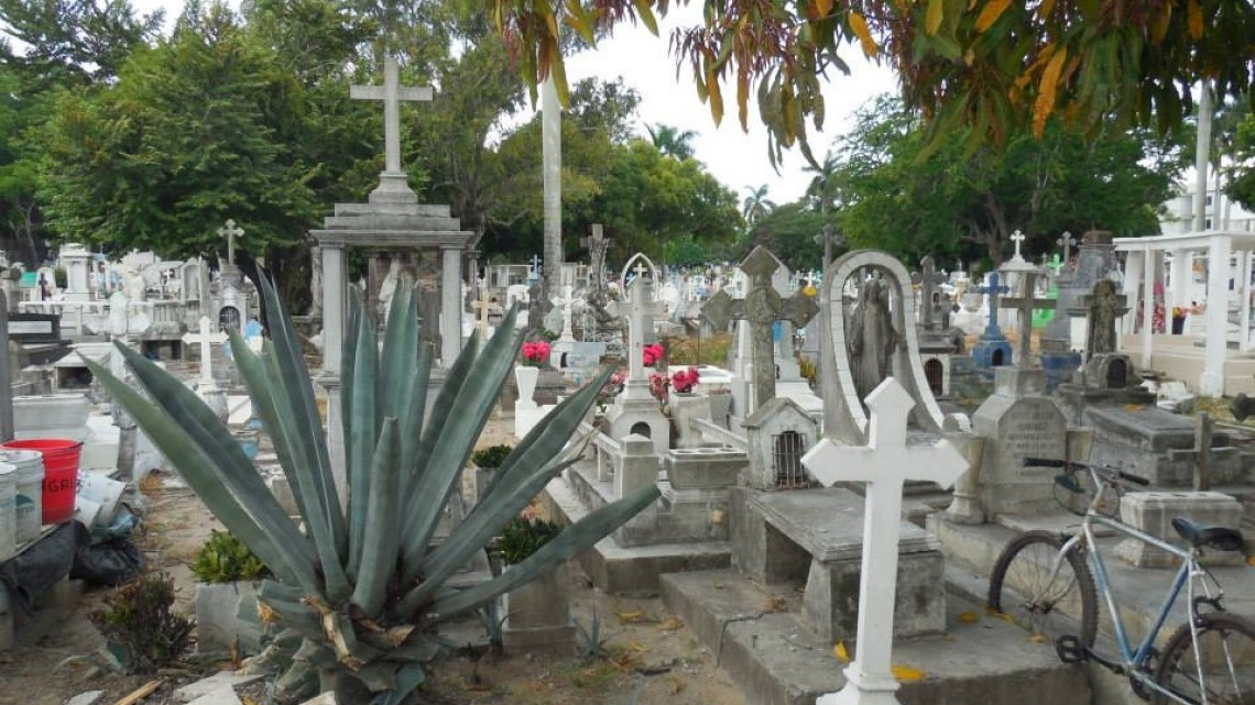 Detenido el proceso de  liberar 87 fosas del panteón municipal de Tampico