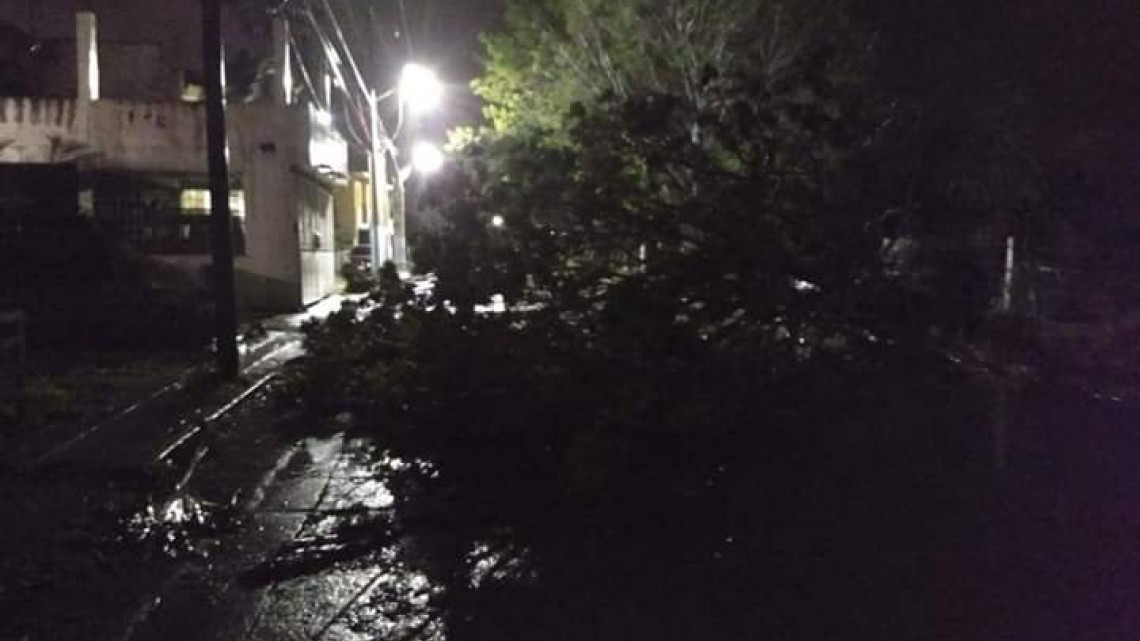 Frente frío no. 10 causa estragos en sur de Tamaulipas 