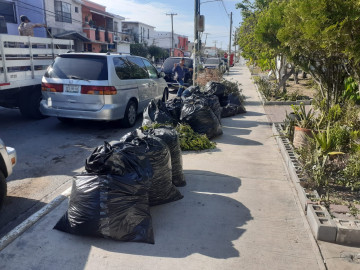 Atiende Carlos Peña solicitudes de limpieza y mejoramiento urbano
