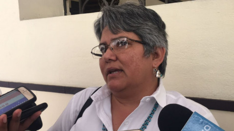 Tamaulipas no reporta casos de Zika o Chikungunya