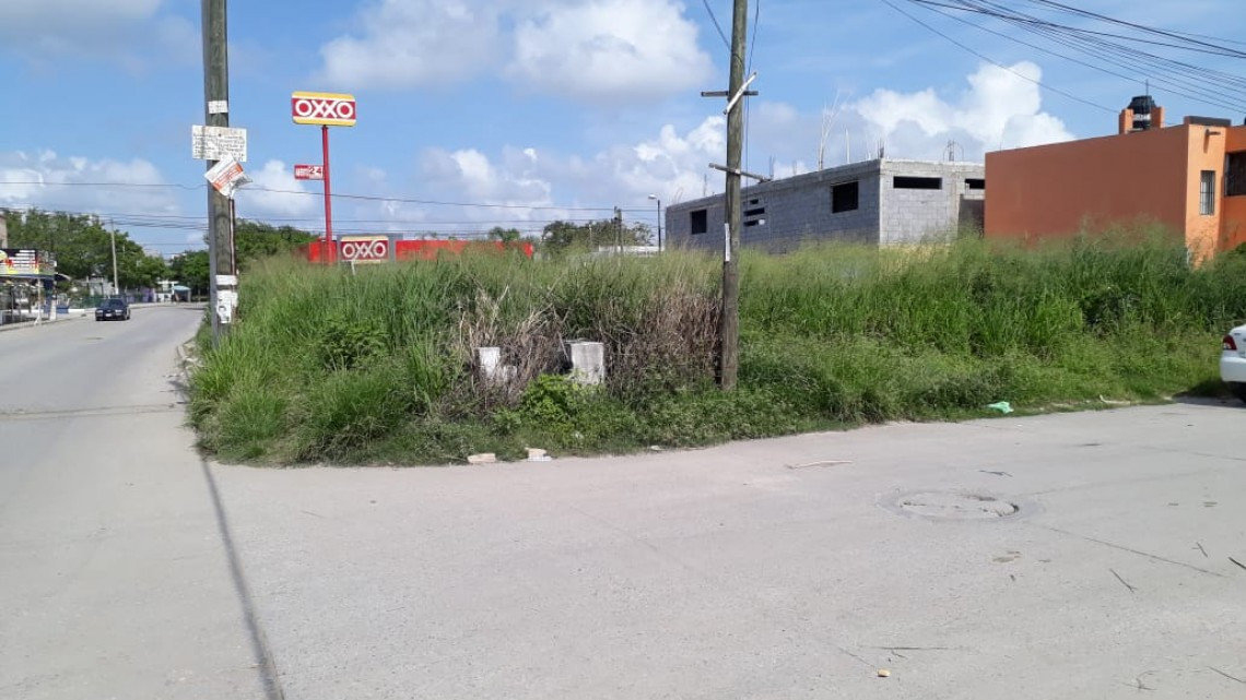 Enorme maleza genera miedo entre vecinos del sector arboledas