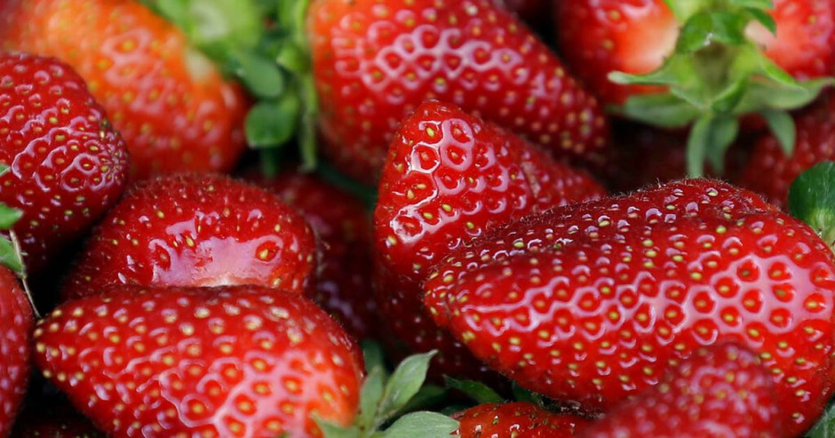 Alerta EU por caso de hepatitis A en fresas cultivadas en México