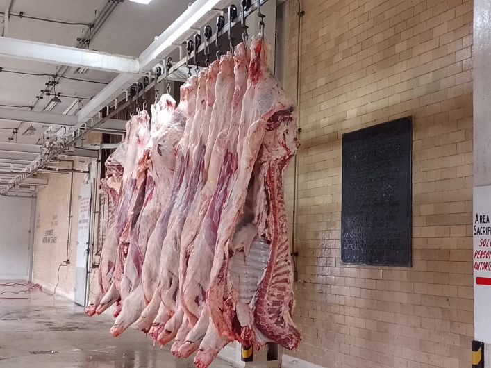 Por temporada decembrina aumenta demanda en el rastro municipal 