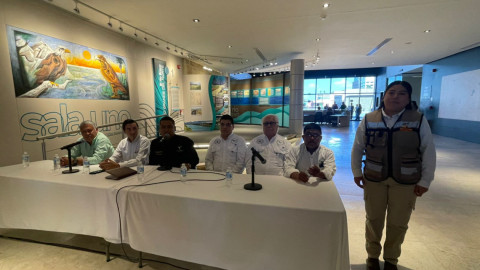 Alerta por bacteria del cancro en limones; piden colaboración ciudadana