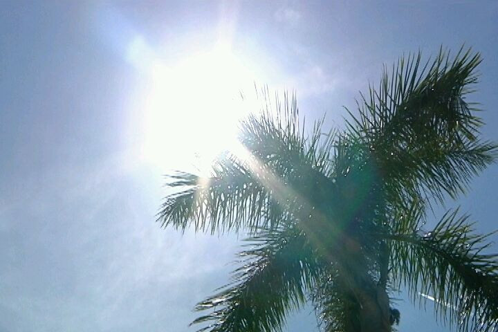 Por el intenso calor piden extremar los cuidados entre la población