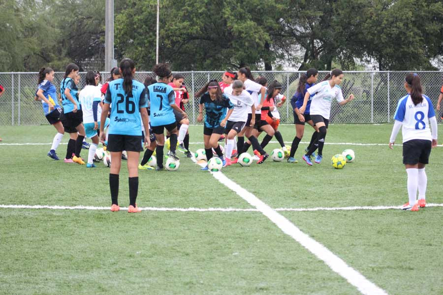 Finalizan visorías en Tamaulipas