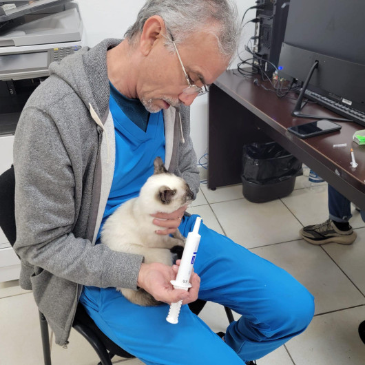 Refuerza dirección de Bienestar Animal atención a perros y gatos en situación de calle 