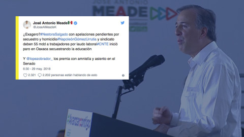 AMLO premia con amnistía a CNTE y asiento en Senado a Nestora: Meade