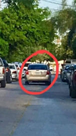 Denuncian a sujeto que se masturba en el parque “La Rotonda” 