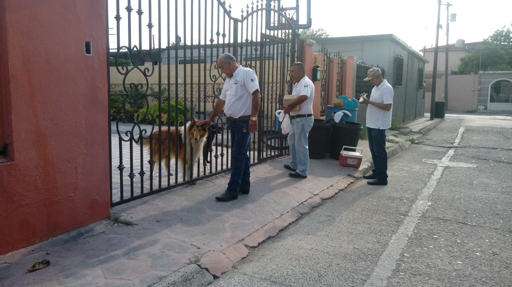 Establecen cerco sanitario contra pulgas y garrapatas