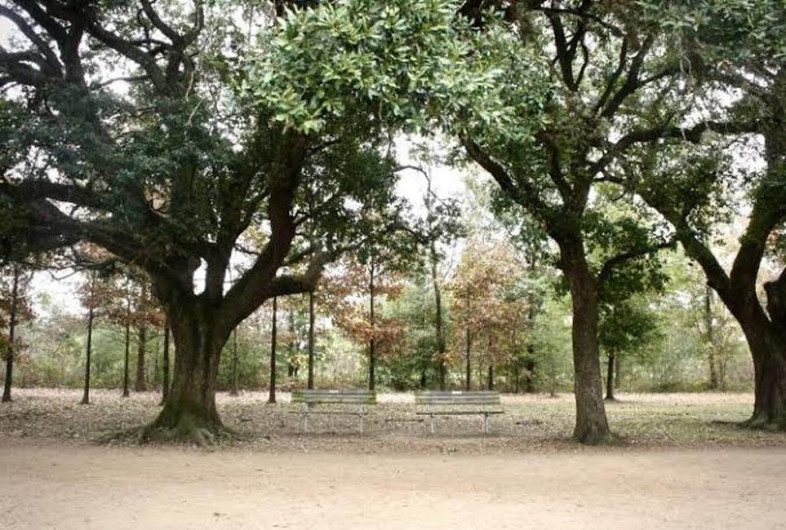 Desinfectan y cierran Parques Estatales de Texas