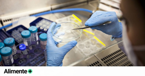 EMA recomienda autorizar en UE primera terapia de edición genética