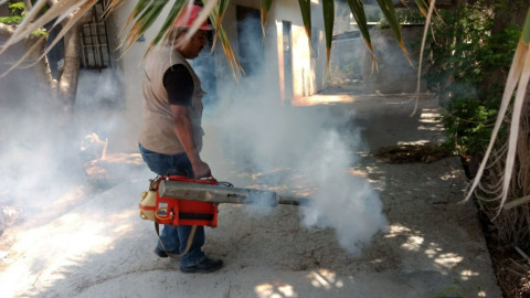 Estado intensifica prevención contra dengue, zika y chikungunya 