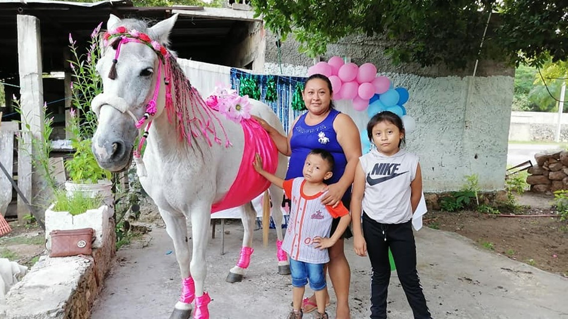 Hacen baby shower a una yegua en Yucatán 