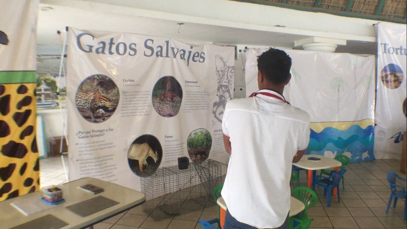 Exposición sobre diversidad de flora y fauna en la zona