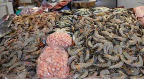 Solo el 3% de la captura de especies del mar se queda en Matamoros