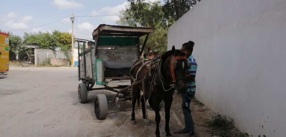 Vigila Gobierno Municipal cumplimiento de normas ambientales 