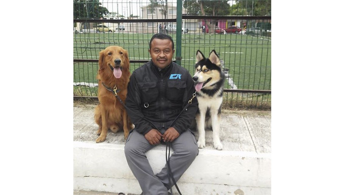 Dogtraining Tampico, entrenamiento y pasión por los caninos