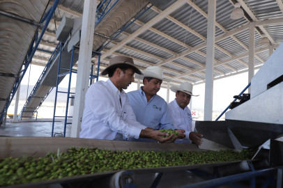 Ofrece gobierno de Tamaulipas respaldo a inversionistas