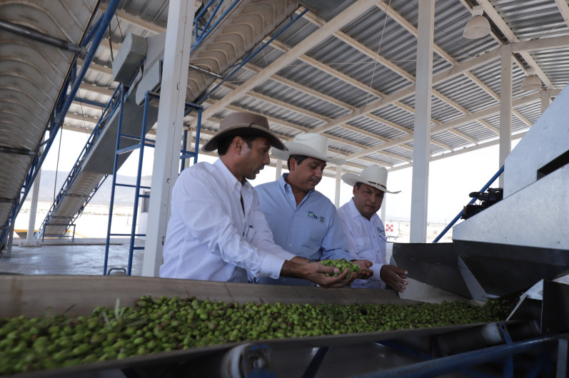 Ofrece gobierno de Tamaulipas respaldo a inversionistas